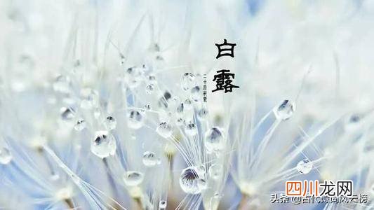 有关春夏秋冬的诗句分享 描写四季的诗句各写一句