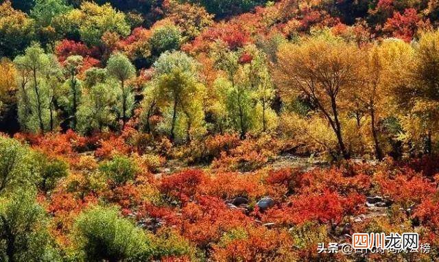 有关春夏秋冬的诗句分享 描写四季的诗句各写一句