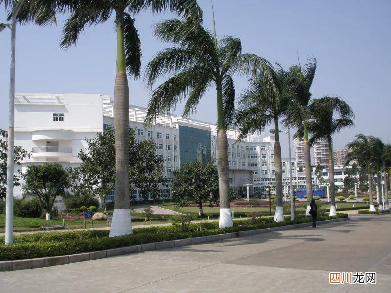 了解广东高校名单大全 广东一本大学有哪些
