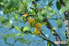 惊蛰时节要防“春困” 推荐防春困的饮食疗法