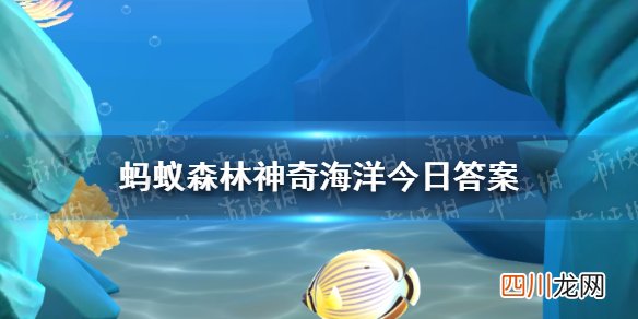 生活中常见的多宝鱼是海鱼还是淡水鱼 神奇海洋今日答案10.9