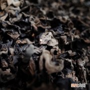 夏季炎热孕妈妈吃什么消暑？黑木耳煮瘦肉好吃又解暑