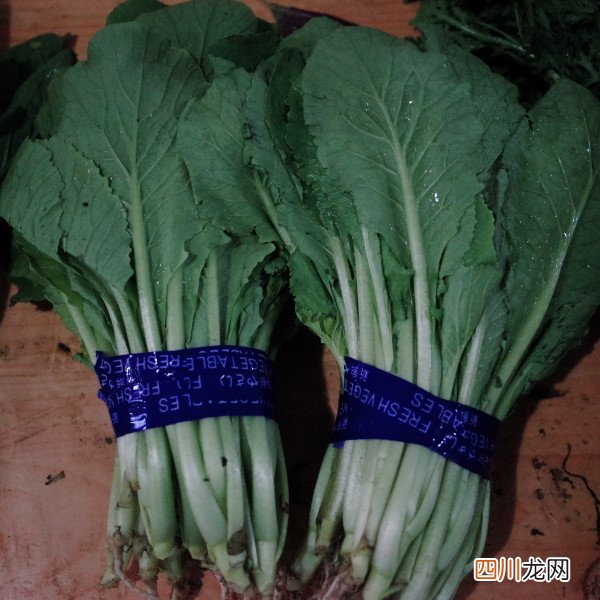 常吃圆白菜有7大好处 圆白菜有哪些营养