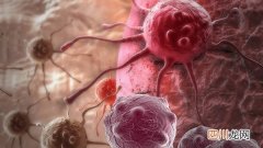 葵瓜子吃太多有什么危害 吃多了葵瓜子影响口腔健康码