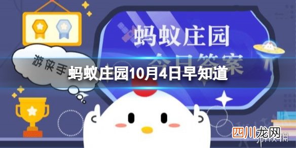 为什么松鼠见面时会“亲吻”对方 蚂蚁庄园10月4日答案早知道