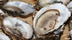 发物是指哪些食物 发物对身体有什么影响？