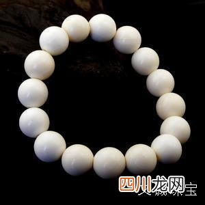 砗磲是什么，什么是砗磲相关知识介绍