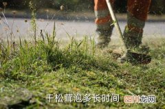 干鸡松茸煮多久可以熟，干松茸泡多长时间