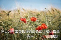 松茸菌多少钱一亩，凉山州木里县松茸的主要出口地价格是多少