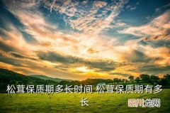 松茸干片能放多久，松茸保质期多长时间 松茸保质期有多长