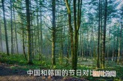 松茸节在哪里，中国和韩国的节日对比