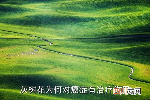 灰树花和松茸哪个抗癌，什么蘑菇抗癌