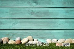 如何自己做冰鲜松茸，如何烹制松茸
