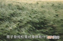 松茸炖瘦肉有什么功效，筒子骨炖松茸对身体有什么功效
