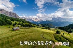 福建古田姬松茸多少斤，松茸的价格是多少