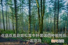 花菇和松茸哪个好，花菇双孢菇姬松茸牛肝菌这四种能炖在一起吃吗