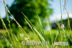 如何煮松茸菇，松茸菇炖汤做法
