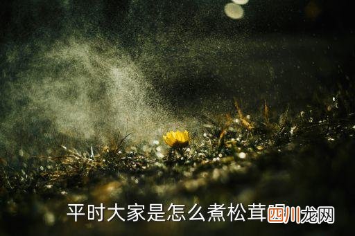 如何用松茸泡水，怎么泡发松茸