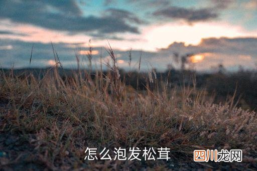 如何用松茸泡水，怎么泡发松茸