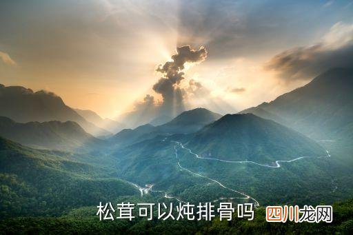 姬松茸炖排骨炖多久，松茸可以炖排骨吗