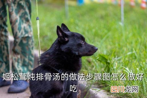 姬松茸炖排骨炖多久，松茸可以炖排骨吗