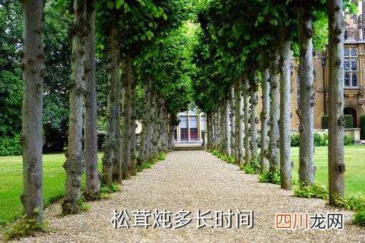 姬松茸炖排骨炖多久，松茸可以炖排骨吗