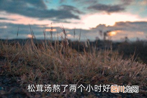 松茸炖鸡吃多久，松茸炖多长时间
