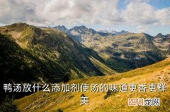 羊肚菌煲鸭汤放哪些材料，鸭汤放什么添加剂使汤的味道更香更鲜美