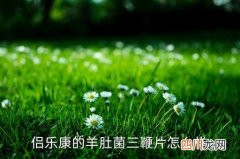 羊肚菌哪个品种好吃，侣乐康的羊肚菌三鞭片怎么样