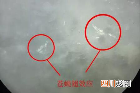 超简单的翡翠a货鉴定方法 再也不怕买到假翡翠了