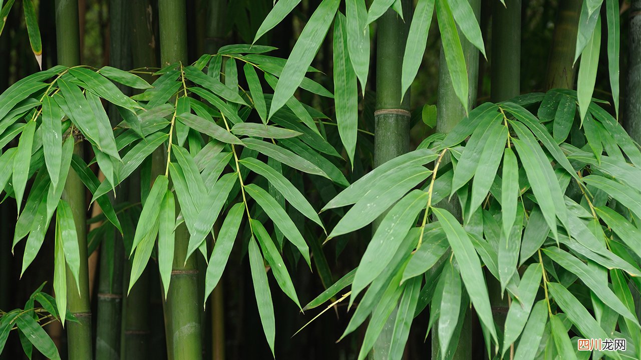 孩子经常喝牛奶有什么好处？牛奶怎么喝比较好？
