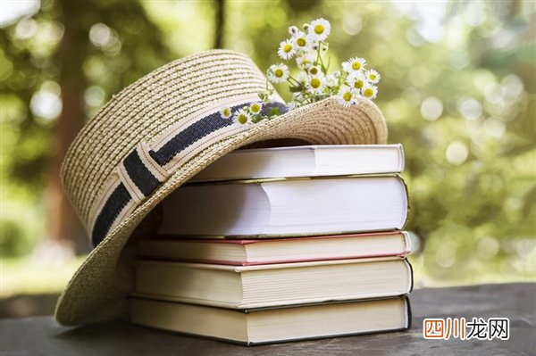 网友发现了鸡鸣寺的顶流“善喜”：因长相可爱 十分受欢迎 ！