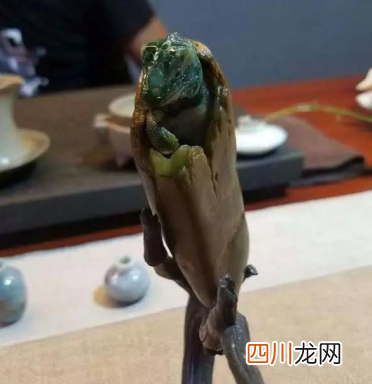 那么逼真的翡翠蜥蜴雕刻 居然吓晕人
