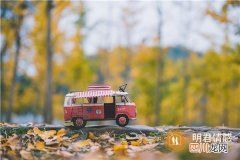四种色彩性格的分析 性格色彩测试