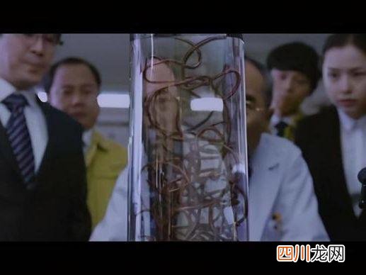 铁线虫是什么?有什么危害? 铁线虫的百度百科