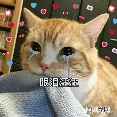 面值200元的人民币发行了？长啥样？ 200元人民币长什么样子