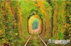 世界上最美的隧道，乌克兰爱的隧道成为情侣约会圣地