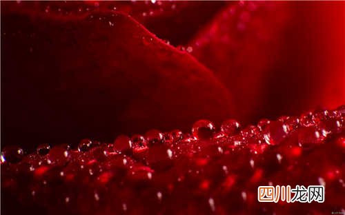 世界上最长的吊桥,明石海峡大桥