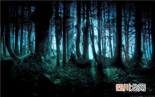 世界上跨度最大的拱桥,上海卢浦大桥, 朝天门长江大桥