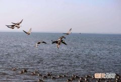 已经干涸 中国最大的淡水湖，鄱阳湖正走向衰亡