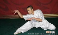盘点中国十大以动物命名的中国拳法