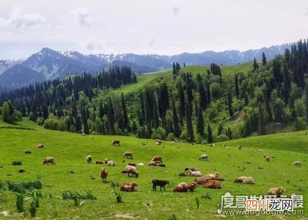 海拔最低处-154米 世界上最低的盆地，新疆吐鲁番盆地