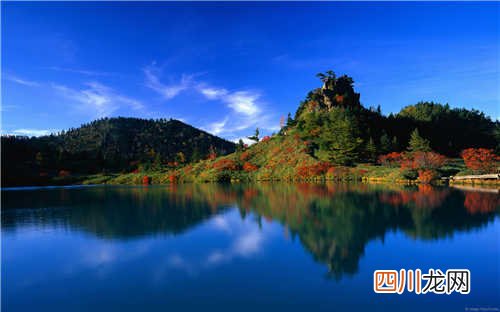 比啤酒瓶还长 世界上拥有最大JJ的人，乔纳·福尔肯34cm