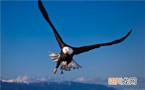 世界各国最长寿老人纪录，李清云256岁世界之最