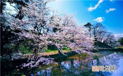 10大世界上最大的蜈蚣 让人起鸡皮疙瘩