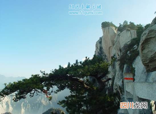 长安八景是哪八景?揭秘美到让人惊艳的长安八景