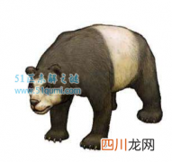 始熊猫：现代大熊猫的祖先 以肉食为主