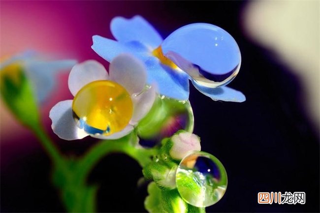 姓穆男孩100分名字归纳 稳重的姓穆男孩100分名字