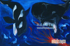 大王酸浆鱿是世界最大的鱿鱼,它与大王乌贼的区别