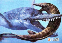 历史上的海洋霸主上龙，具有超强咬合力目前已灭绝